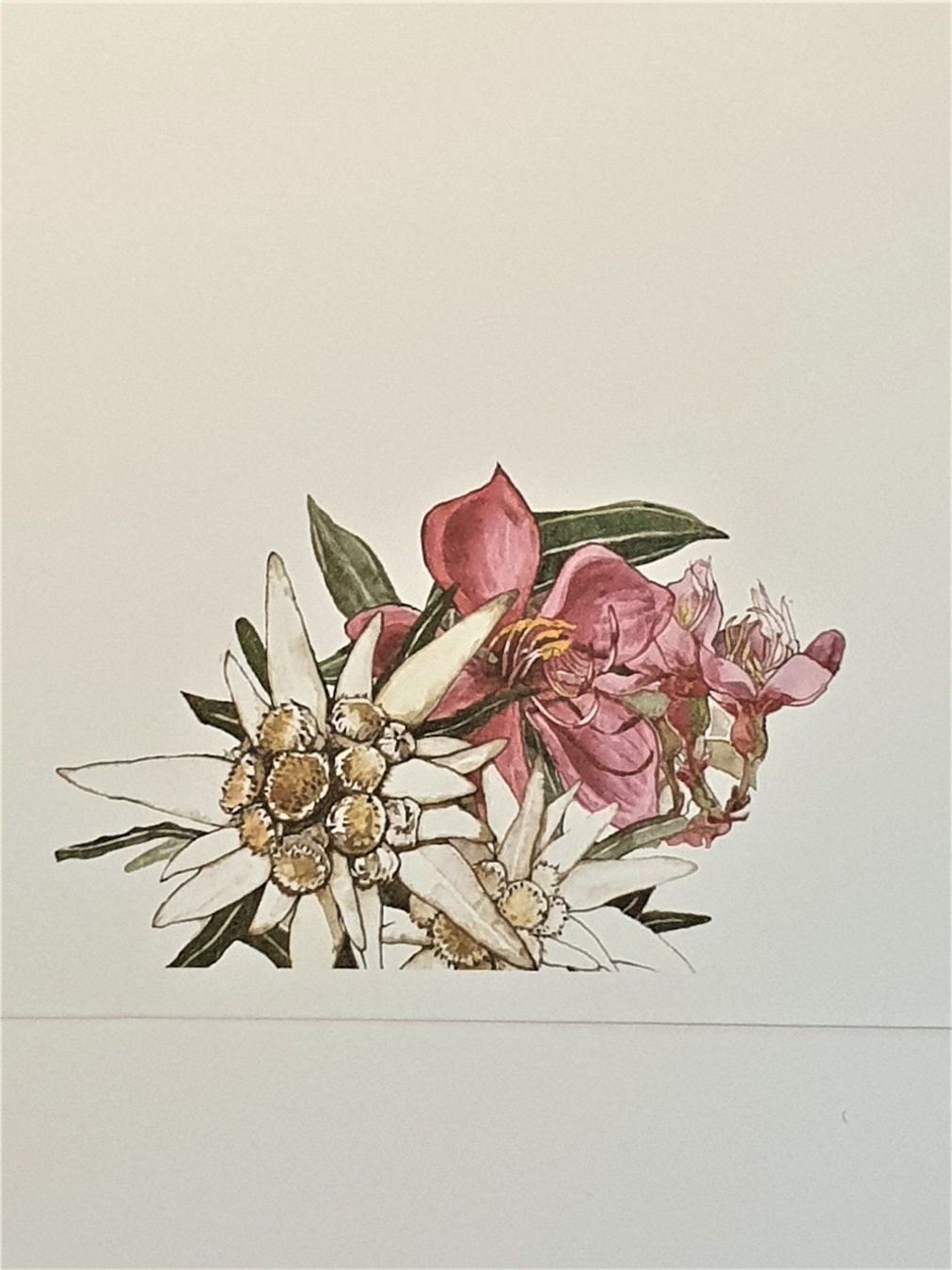 Tutti i francobolli: (184)  2001 Singapur-Schweiz "Blumen" – Usato da Schwarzhäusern venduto da Inot3 4