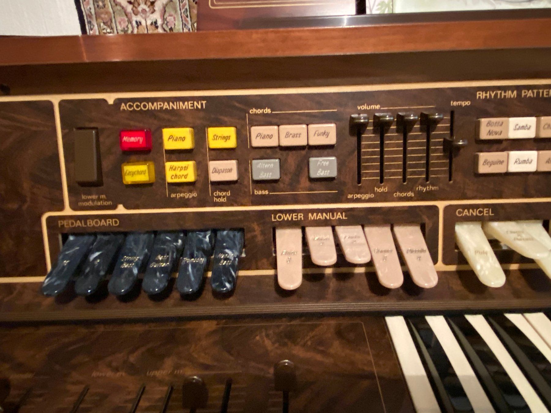 Strumenti musicali: Heimorgel Farfisa Louvre – Usato da Lachen SZ venduto da TALJB 2