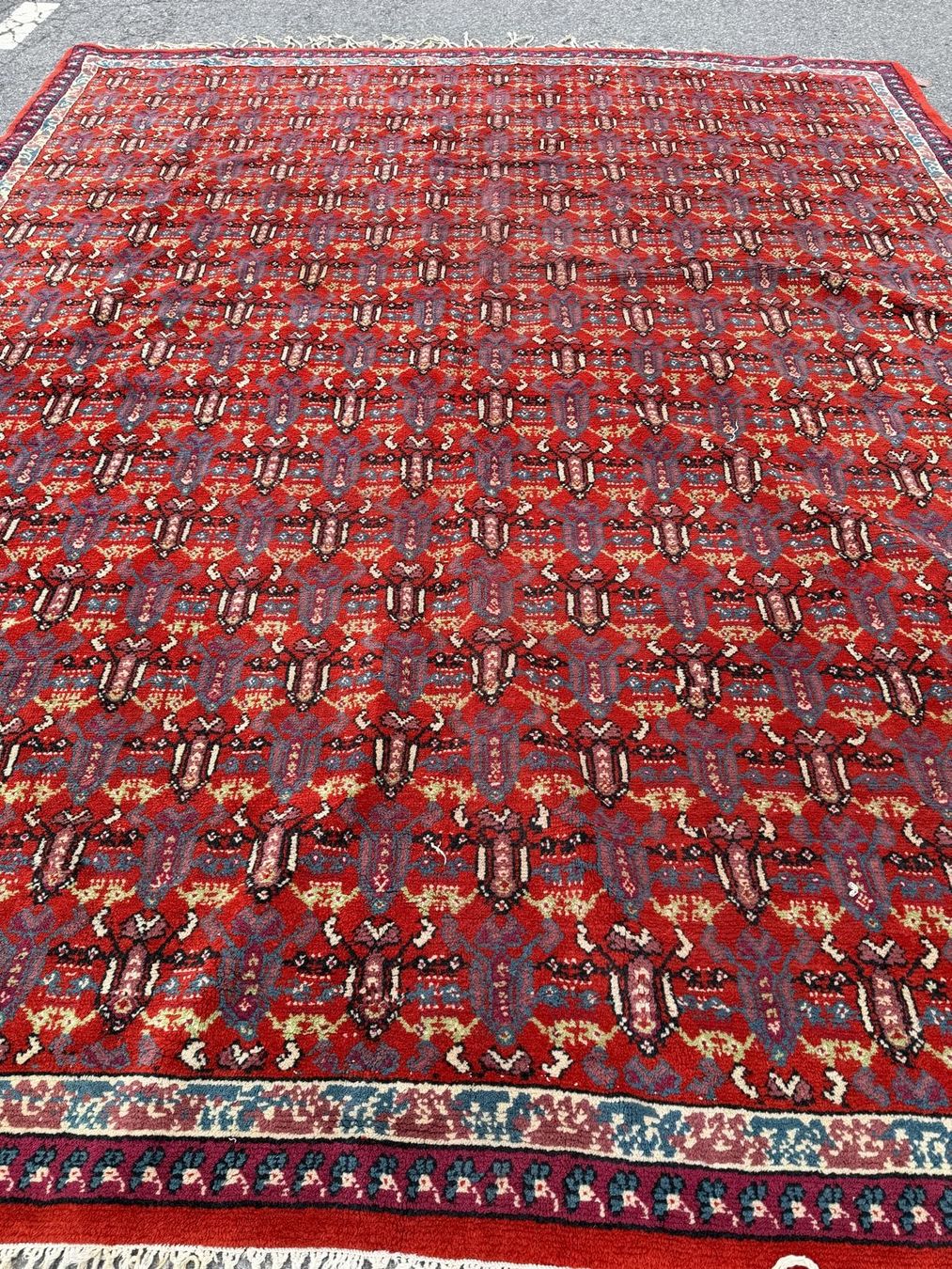 Tapis: wunderschöne handgeknüpfte Teppich  – D'occasion à Grenchen par has_y6xd 1