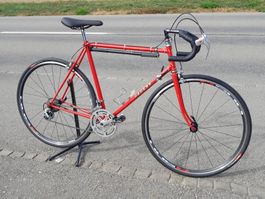 Schönes, klassisches Rennvelo von Gadenz, frisch aufgebaut