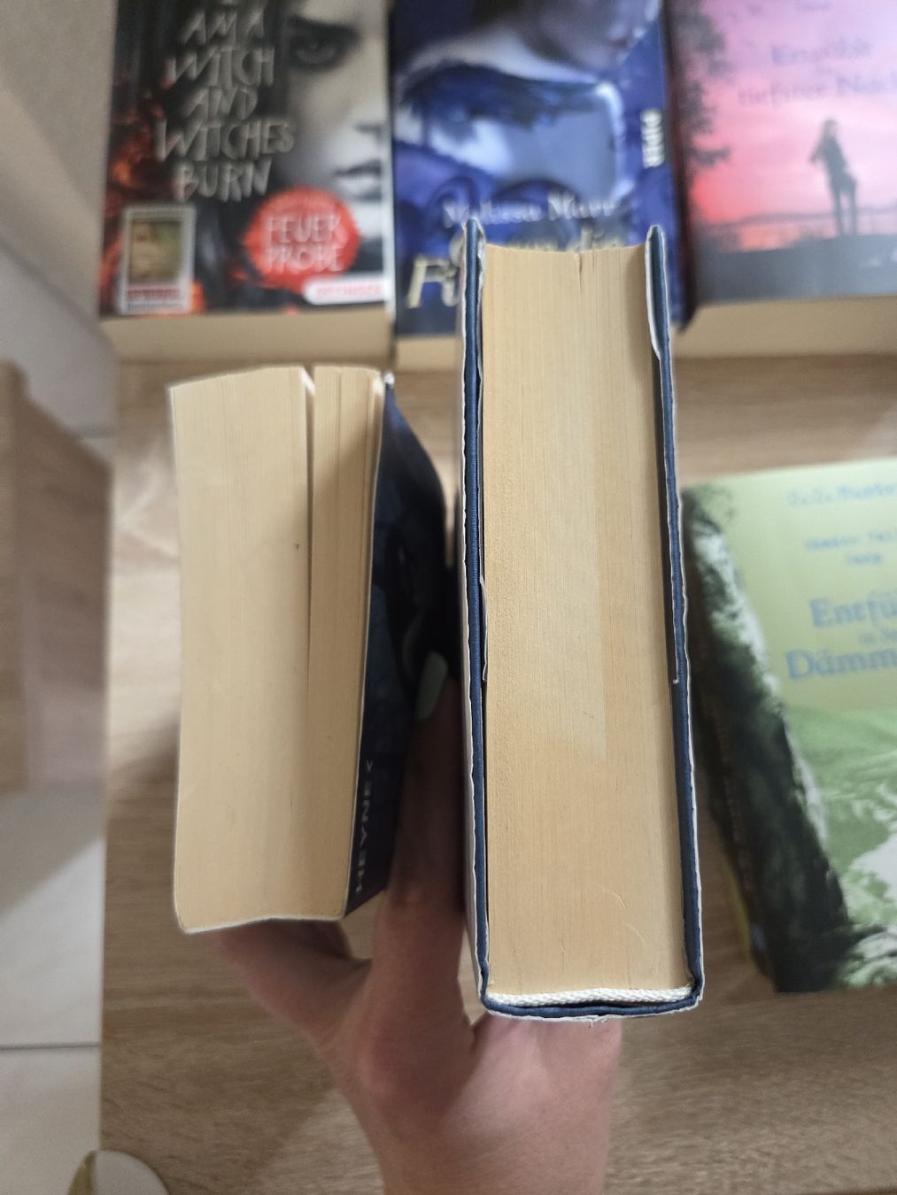 Bücher: 8 Bände Jugendbücher Fantasy Romane – Gebraucht aus Näfels von CH.Kchlineknopf 3