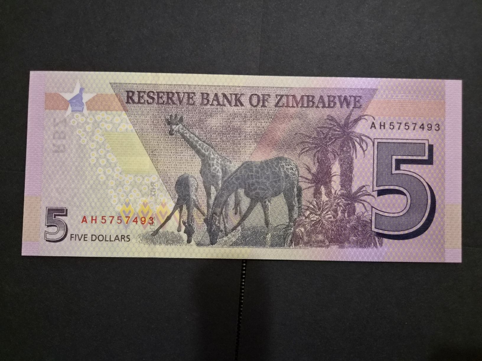 Banconote: Zimbabwe 2019 5 dollars PW102 UNC – Nuovo (secondo la descrizione) da Versoix venduto da rucio