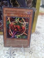 Yugioh Mystische Tomate