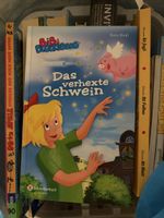 Bibi Blocksberg Das verhexte Schwein Buch guter Zustand