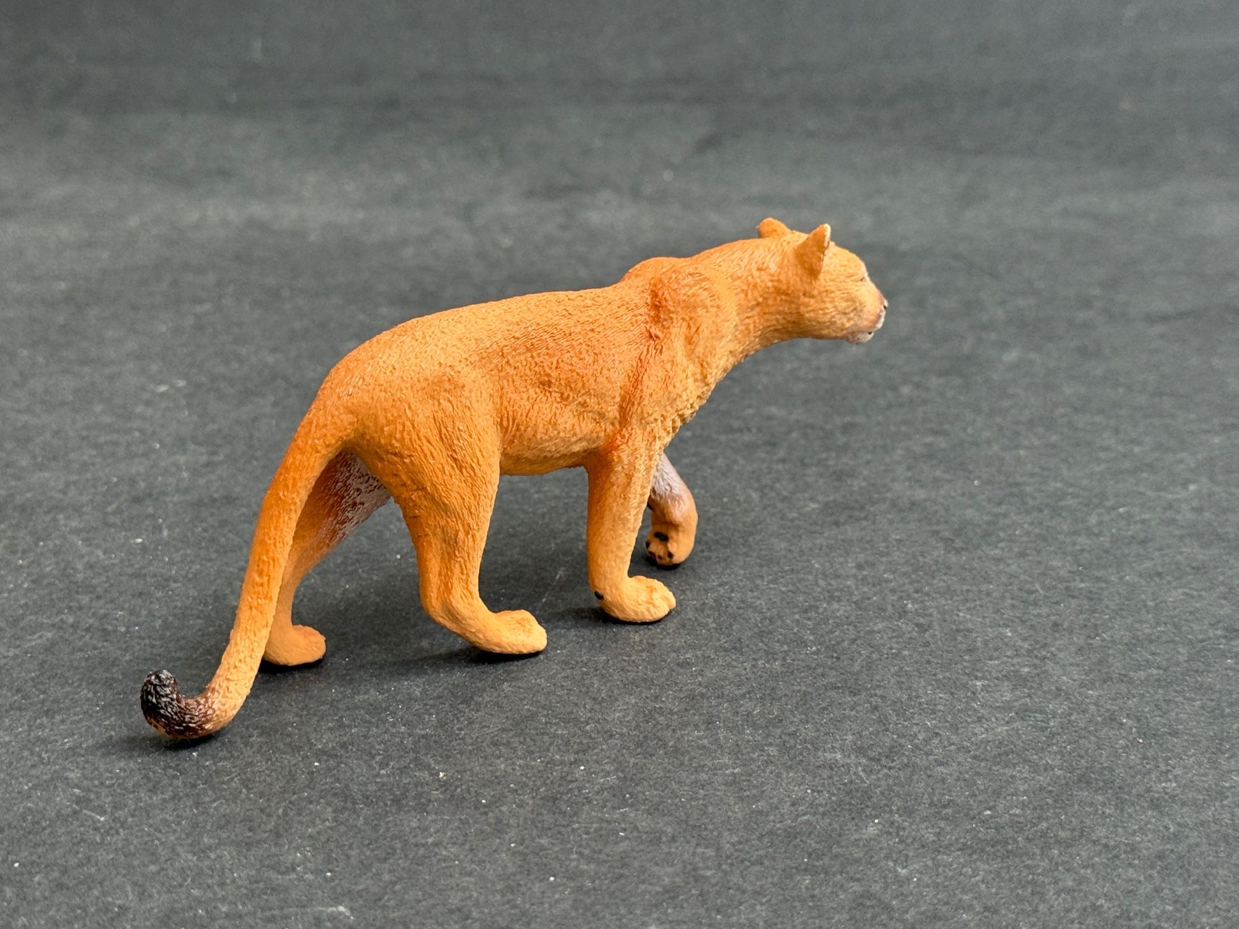 Schleich Statuette: Schleich Puma - wie neu – Nuovo (secondo la descrizione) da Ennetbaden venduto da mapa05 5