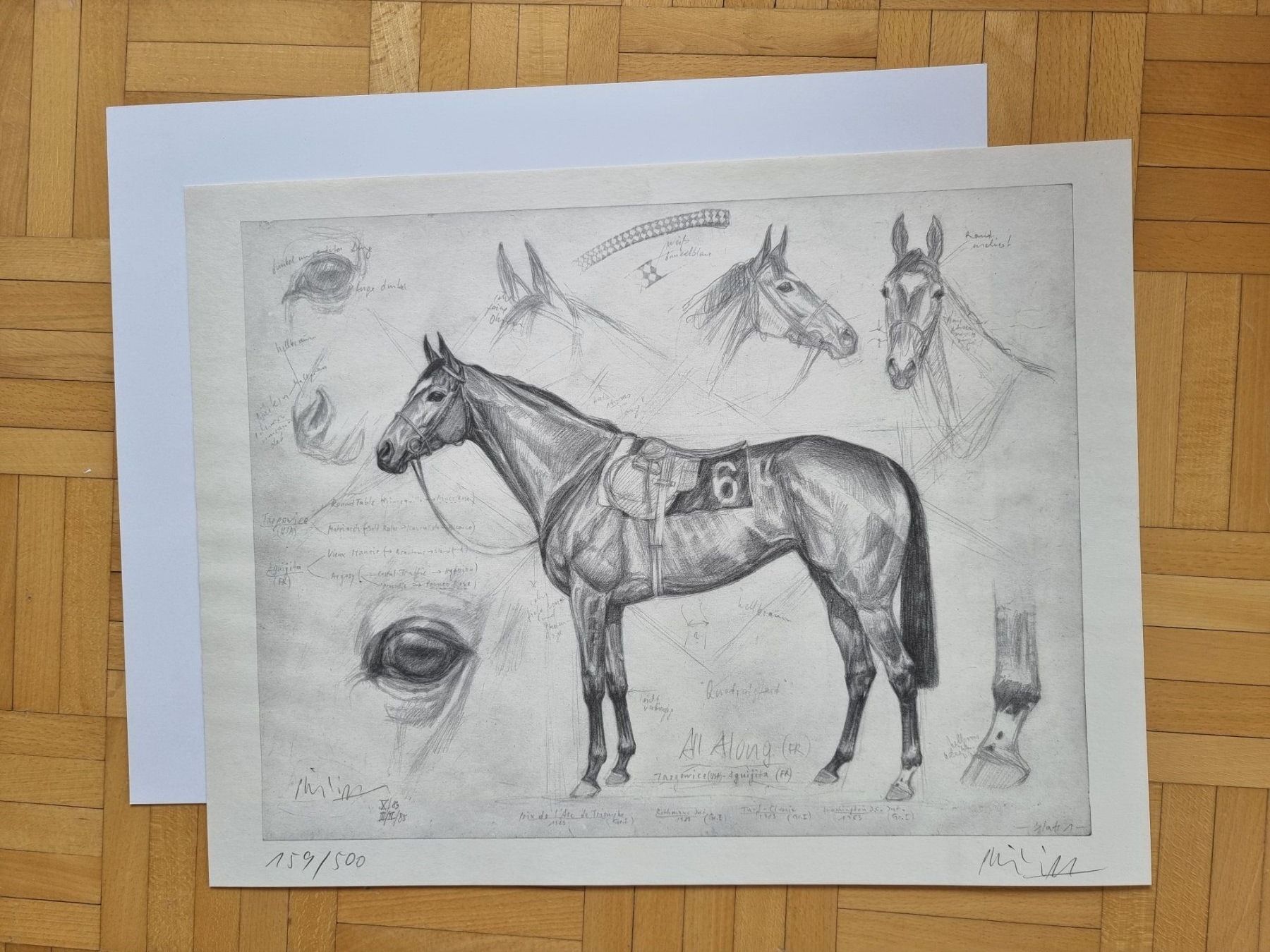 Grafica & Litografie: Klaus Philipp Kunstdruck  All Along – Nuovo (secondo la descrizione) da Arosa venduto da horseracing
