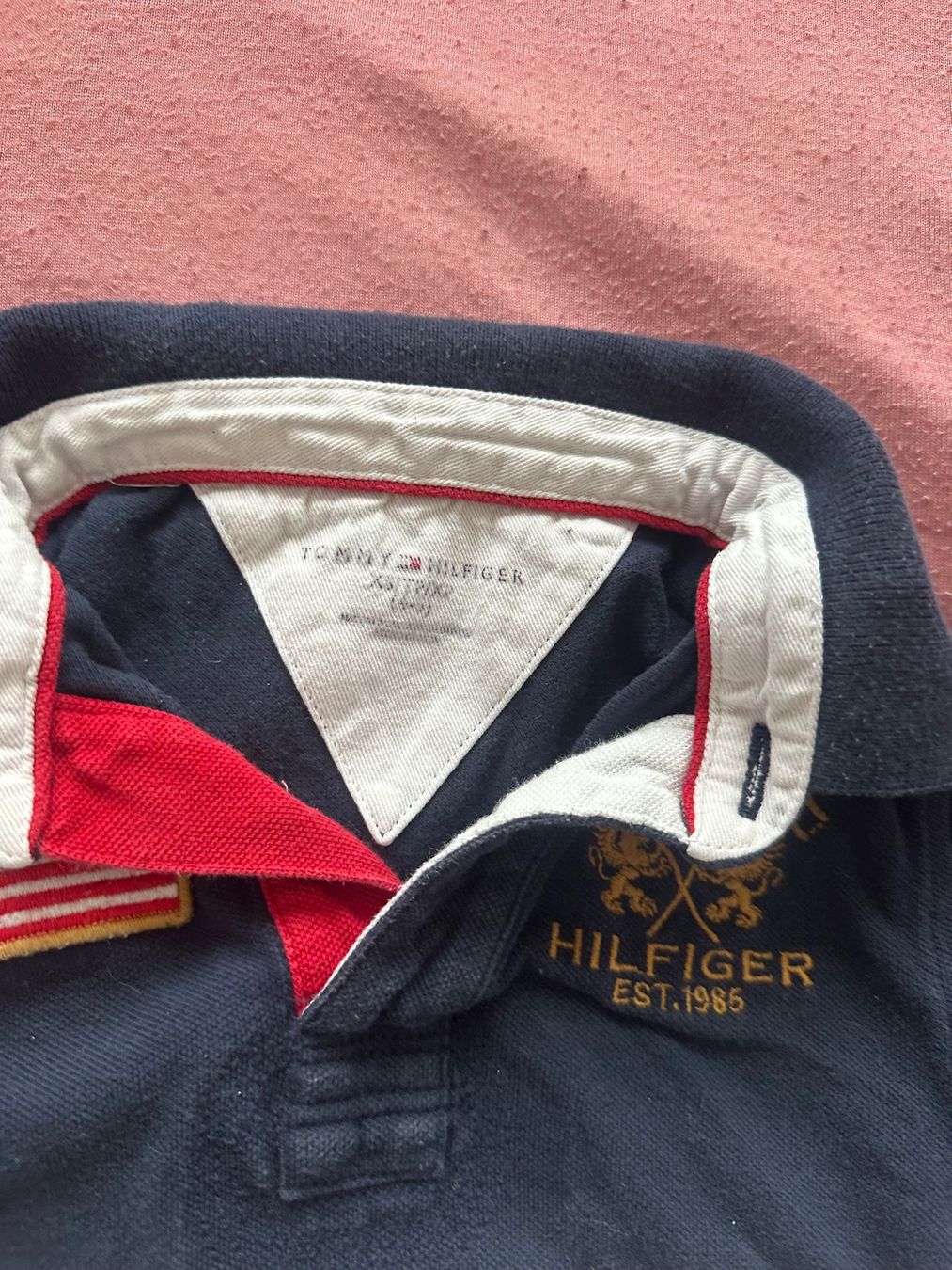Tommy Hilfiger Camicie, T-shirt & Polo: T-Shirt Tommy Hilfiger – Usato da Dürrenroth venduto da tvy_bh56 1
