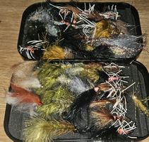 Fliegen 35+ Stück im Köderbox