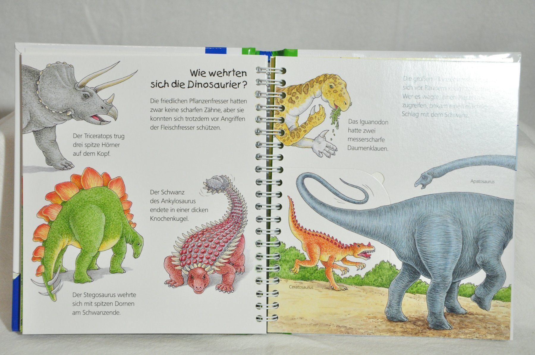 Bücher: Wieso Weshalb Warum? junior: Dinosaurier – Gebraucht aus Lustmühle von Glatisant 3