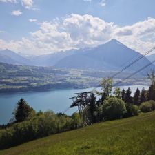 Profile image of beschleuniger