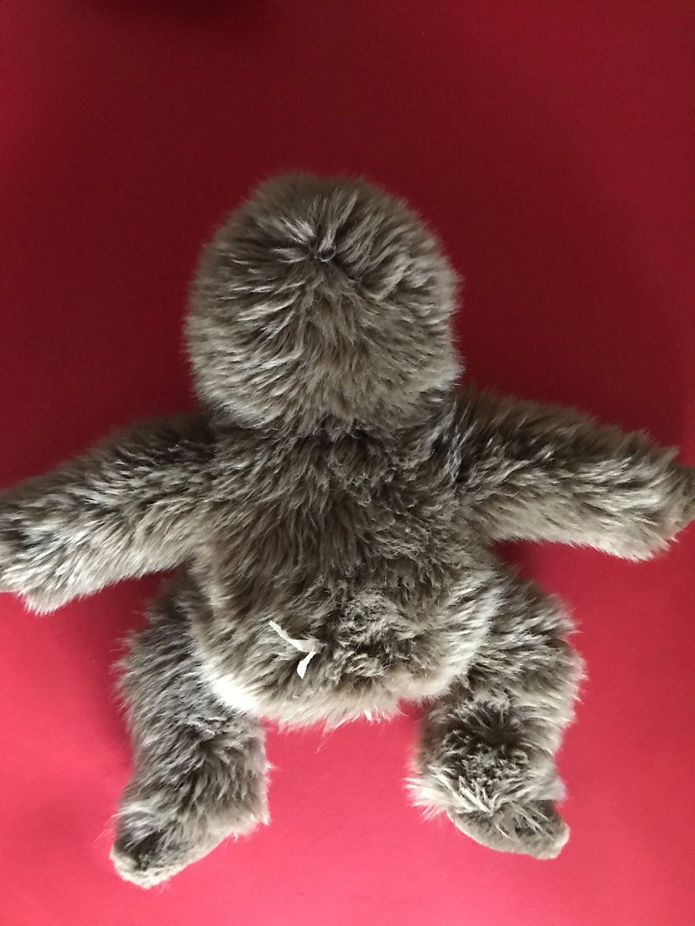 Jouets: Affe Plüschtier Bartaffe sitzend 28 cm WIE NEU – Neuf (Voir description) à Däniken SO par allerlei54 7