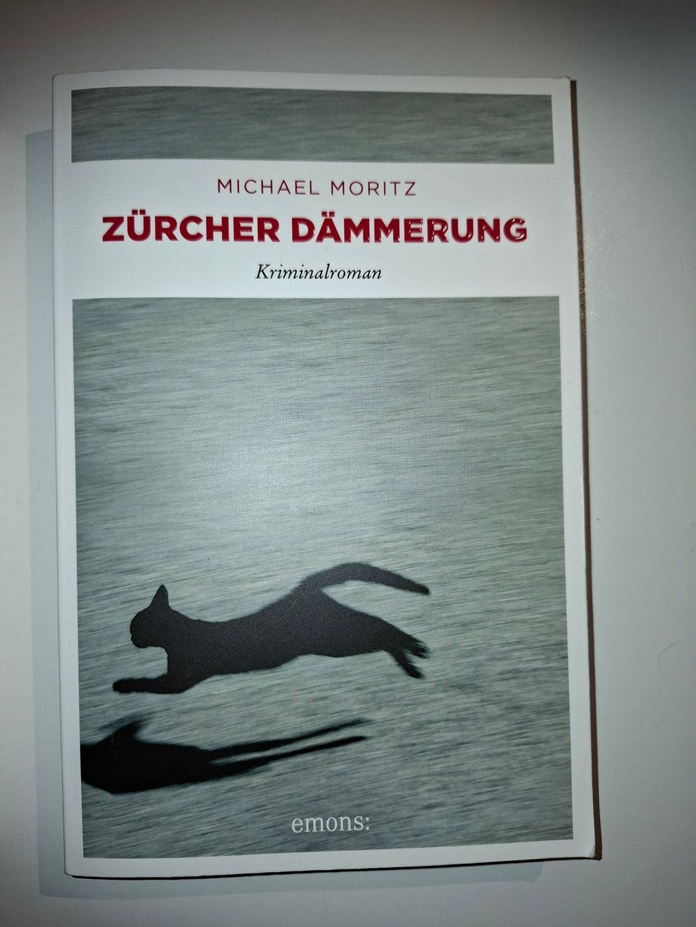 Livres: Zürcher Dämmerung, Michael Moritz – D'occasion à Dietikon par Buchantiqdietikon