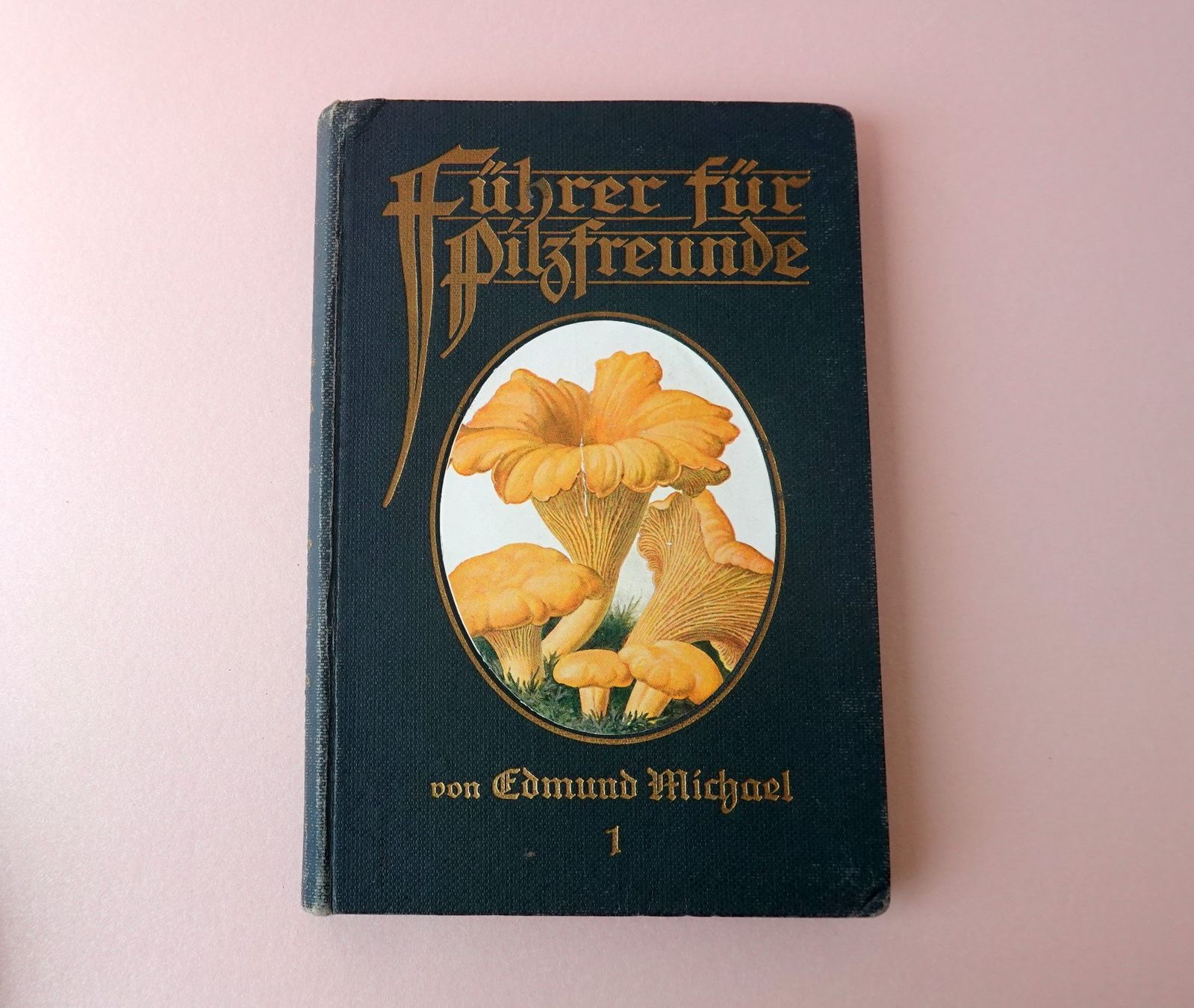 Livres: Pilzbuch von 1918 – D'occasion à Brunnen par brocundfloh