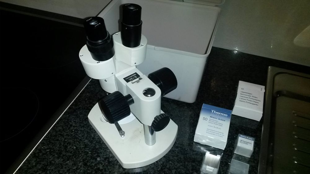 Microscope et Loupe