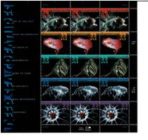 Deap Sea Creatures  1 KB  ** neu