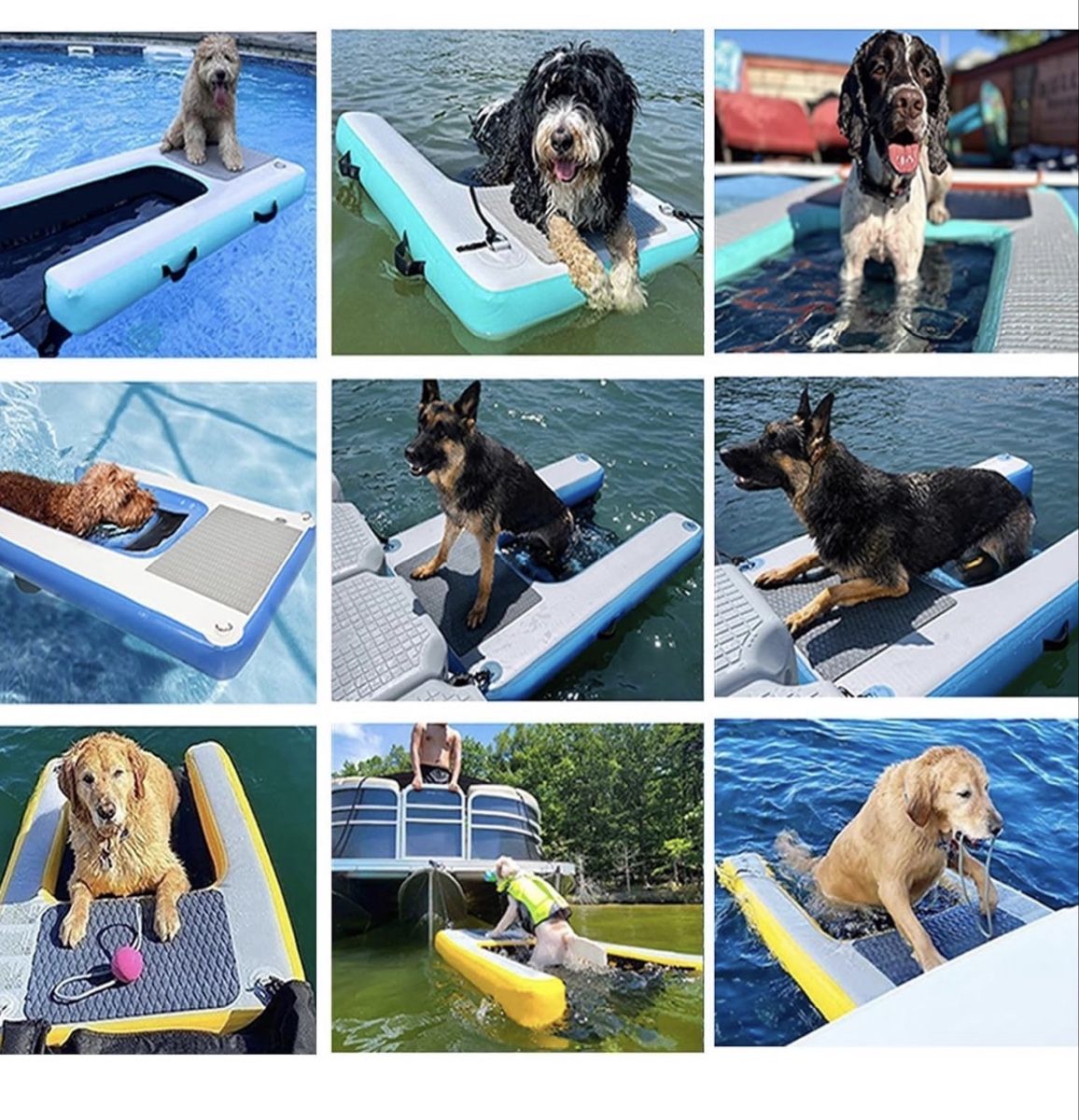 Cucce & Letti: Gommone acquatico per cani  – Nuovo e nell'imballaggio originale da Cadenazzo venduto da ali_d5fn 3