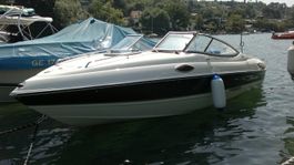 Bateau Stingray 195 CX de 2011 vendu avec moteur défectueux