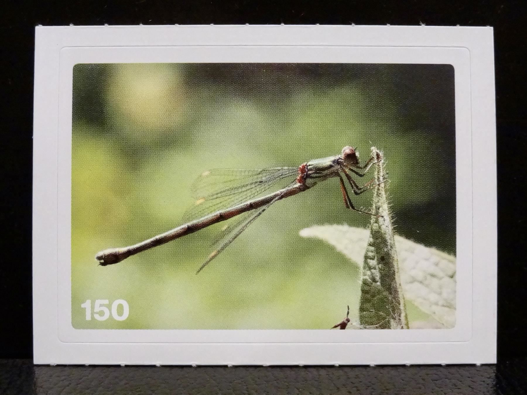 Migros Carte collezionabili: MIGROS MANIA Nature Detectives Nr. 150 – Usato da Kerzers venduto da zimmergruen