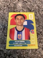Panini Nor 19