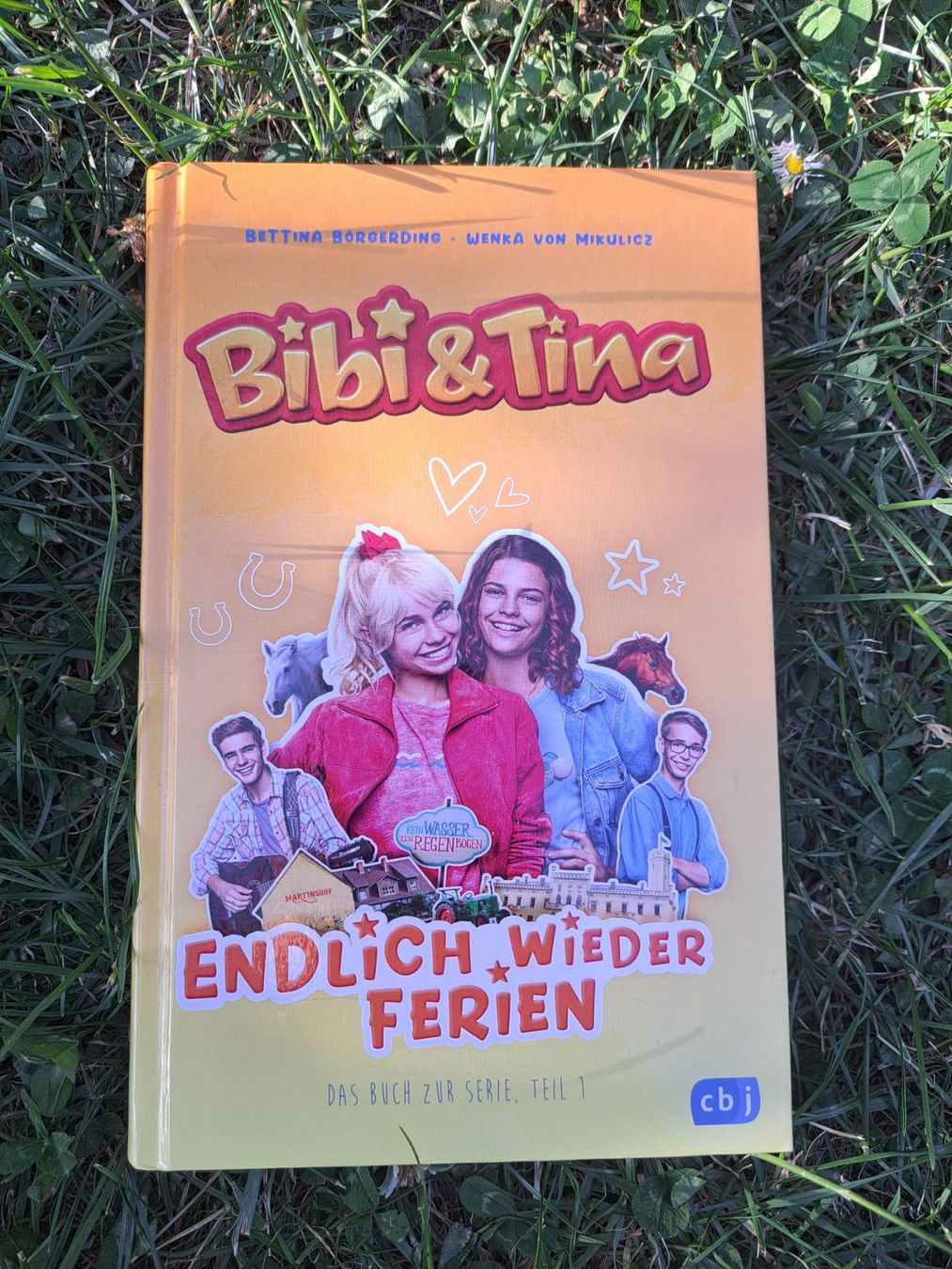 Bücher: Bibi und Tina – Gebraucht aus Dachsen von Mickymausi