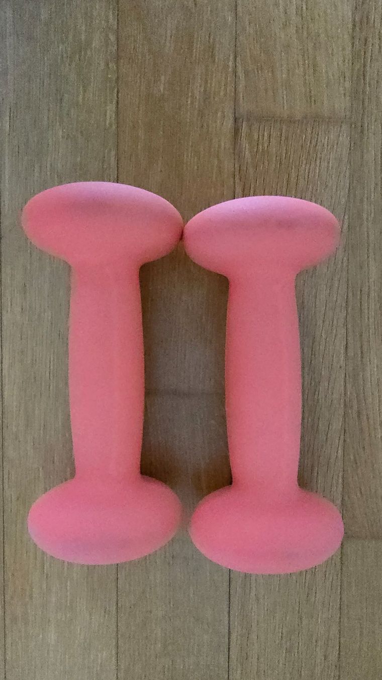 Tunturi Manubri & Pesi: Tunturi Kurzhantel Set 2x 2kg – Usato da Rafz venduto da Domimir 2