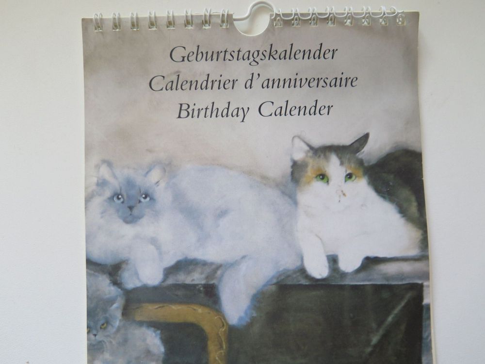 TOYMIS Katzen-Geburtstagsparty Set – Mit Halsband, Hut, Fliege & Zahlen Für Die Perfekte Katzenfeier