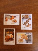 Lot de 4 timbres Algérie 2010, parfait état (1643)