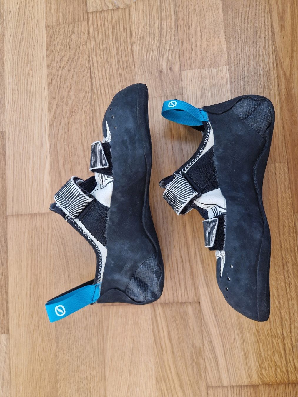 Scarpa Scarpe da donna: Kletterschuhe Scarpa W neu – Nuovo (secondo la descrizione) da Zürich venduto da katinkalinka 1