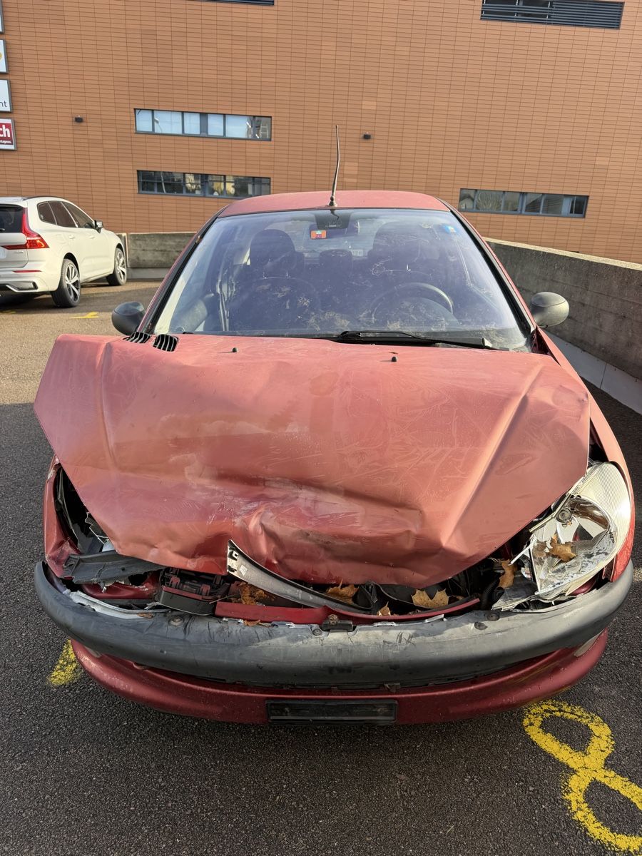 Peugeot Automobili: Peugeot 206 – Difettoso da La Chaux-de-Fonds venduto da Transportchezmax 3
