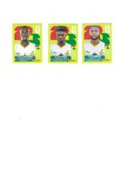 Panini WM 2026