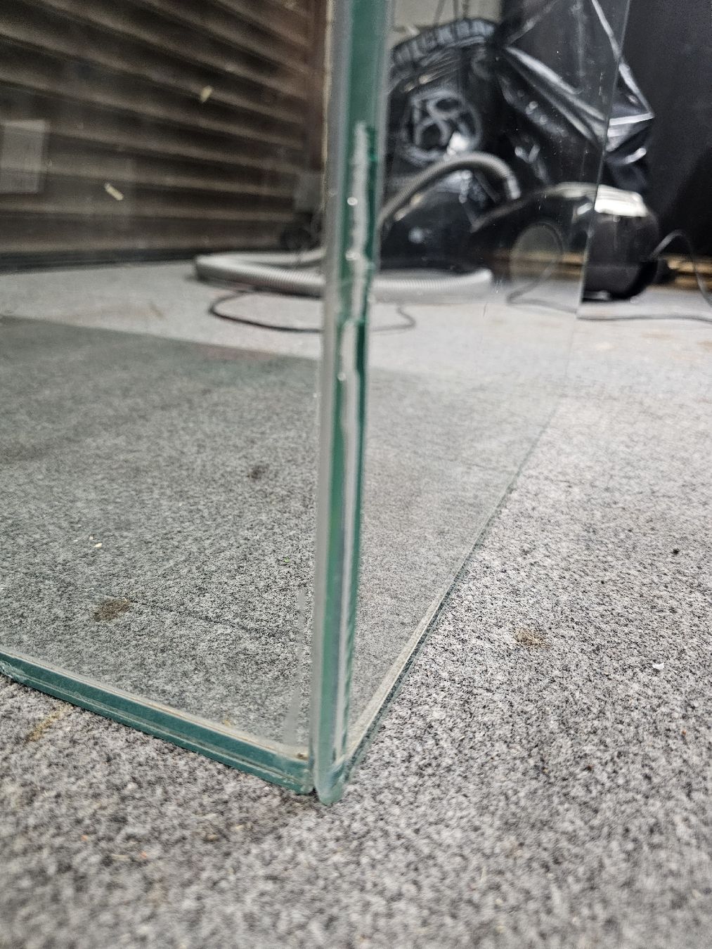 Terrario: Nager Terrarium – Usato da Malters venduto da King1901 3