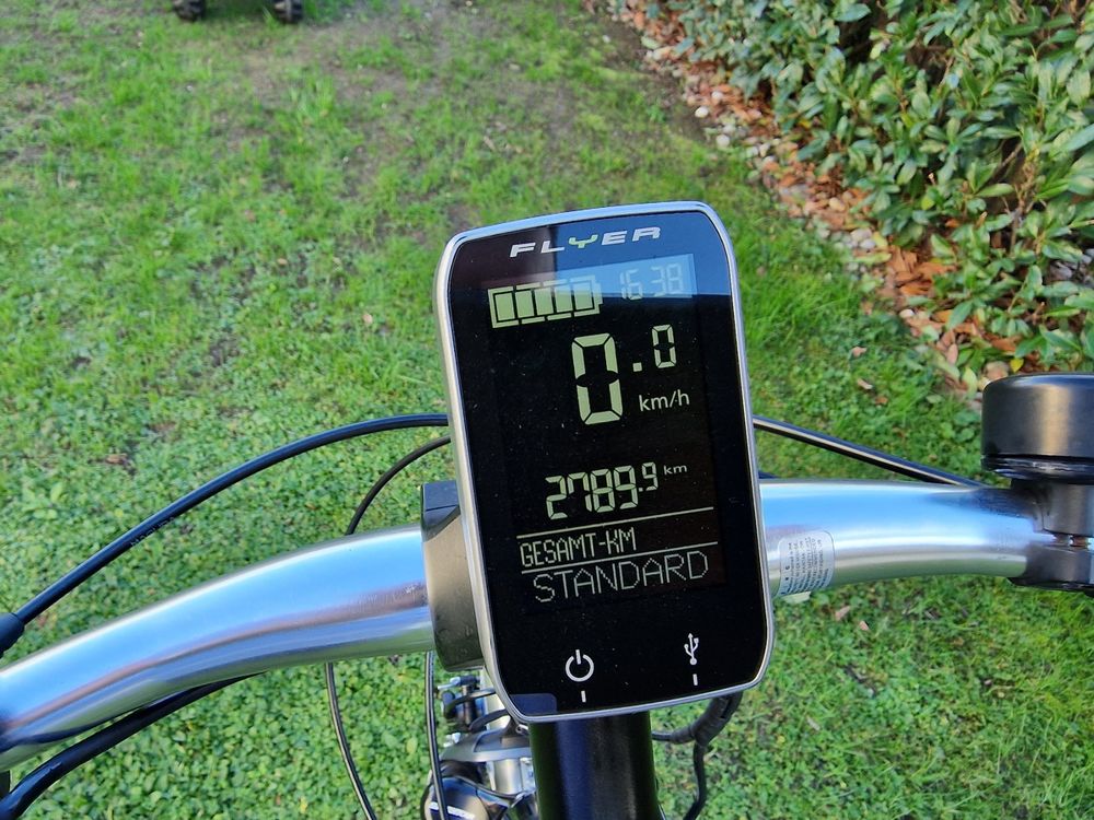 Flyer EBike 25 km/h Kaufen auf Ricardo