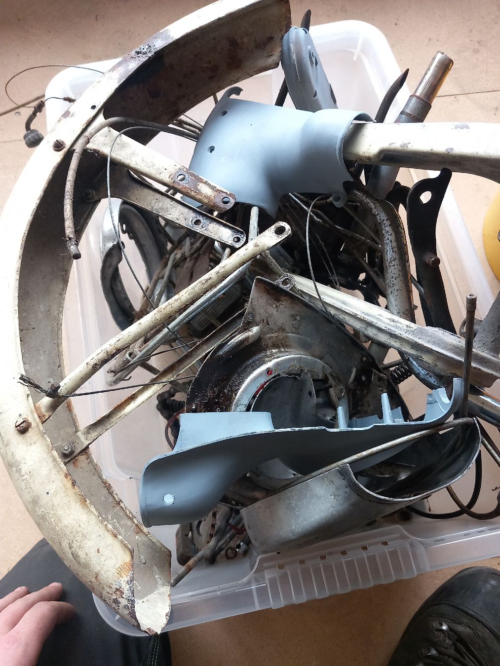 Puch Ciclomotori: Puch Ms 50 Komplett – Difettoso da Recherswil venduto da schwalli01 5