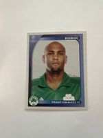 Panini UEFA Champions League 2008-2009 - Nr. 399