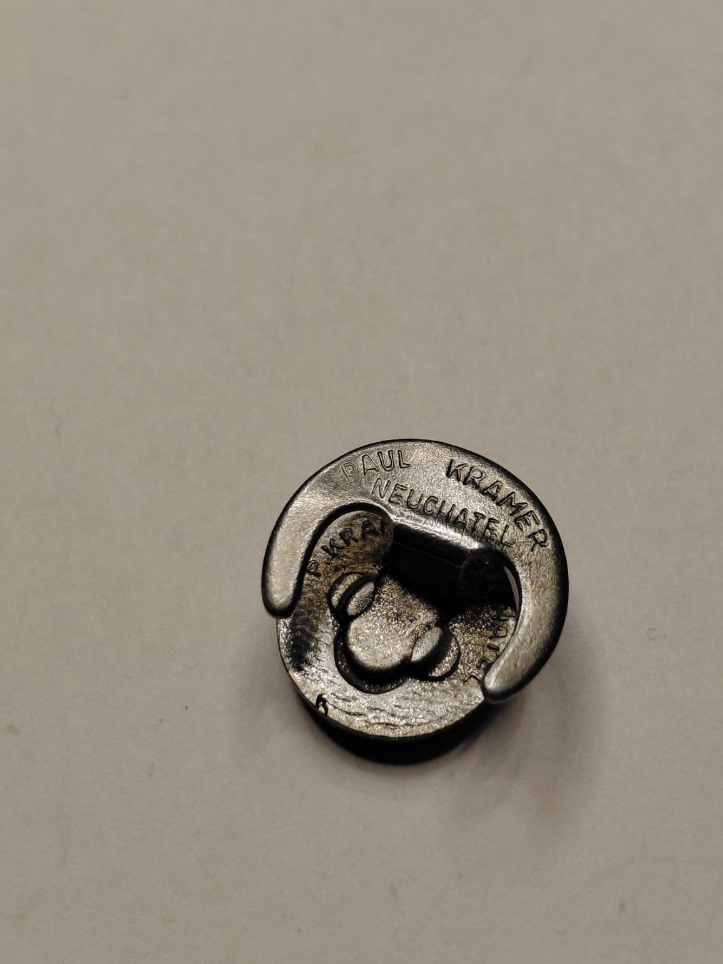 TCS Placchette & Badge: TCS  Pin – Usato da Bonaduz venduto da topolino052 2