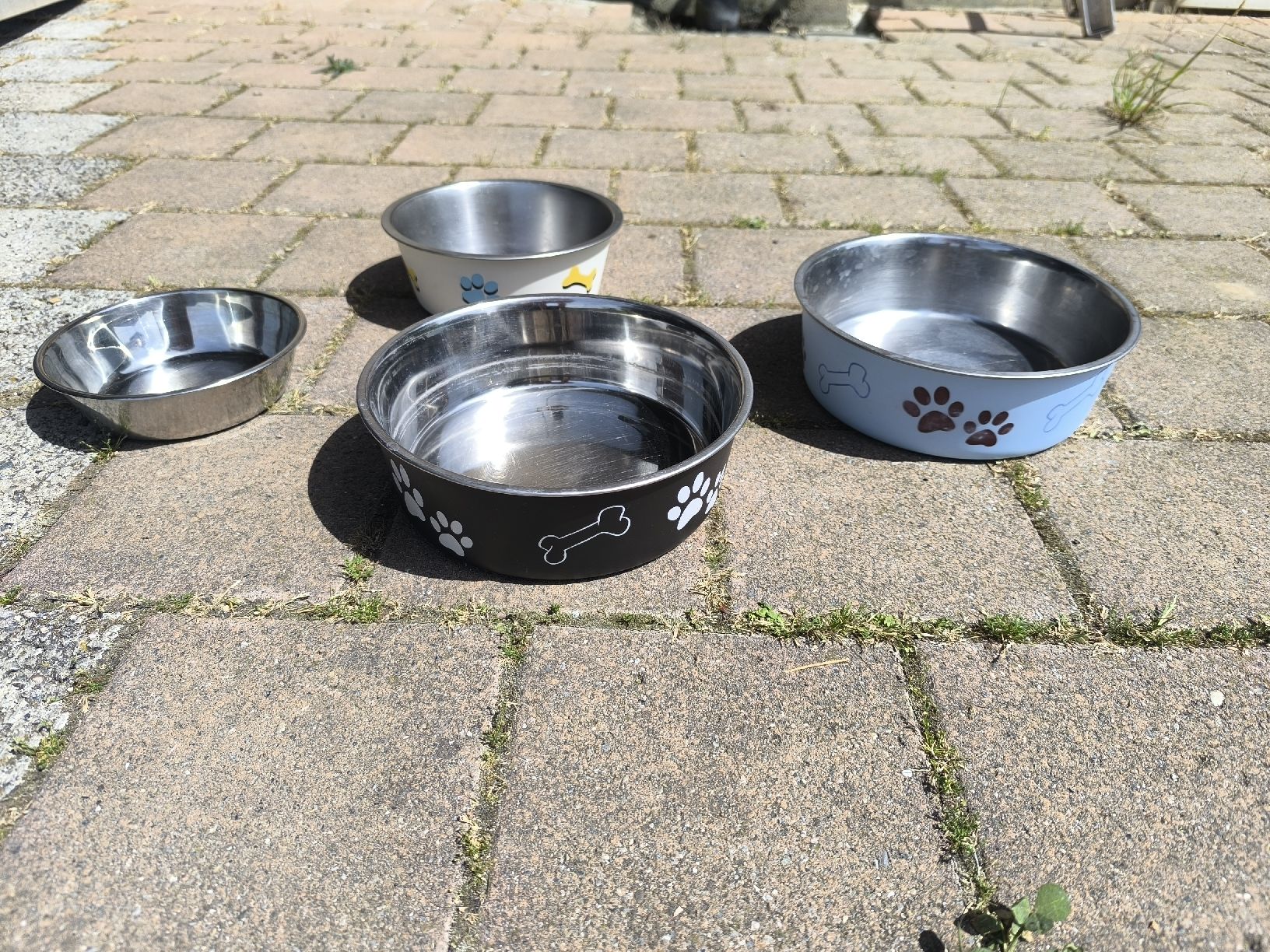 Ciotole: Hunde Napf diverse grössen – Usato da  venduto da