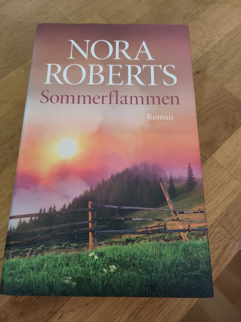 Libri: Sommerflamme by Nora Roberts – Nuovo (secondo la descrizione) da Luzern venduto da shadowlover