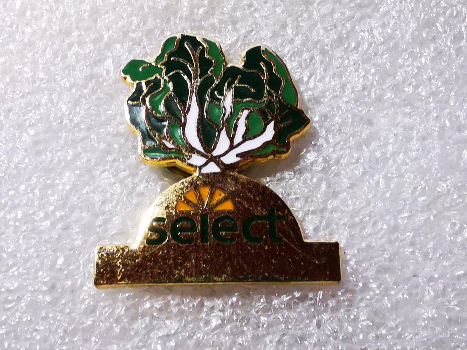 Placchette & Badge: Ansteckpin 49: Select – Usato da Oppligen venduto da Pin-Fall-Shop