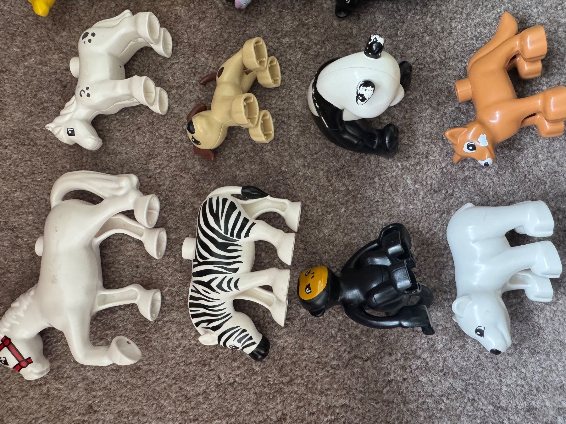 Lego Giocattoli: Lego Duplo diverse Tiere – Usato da Aarau venduto da Kilauea 2
