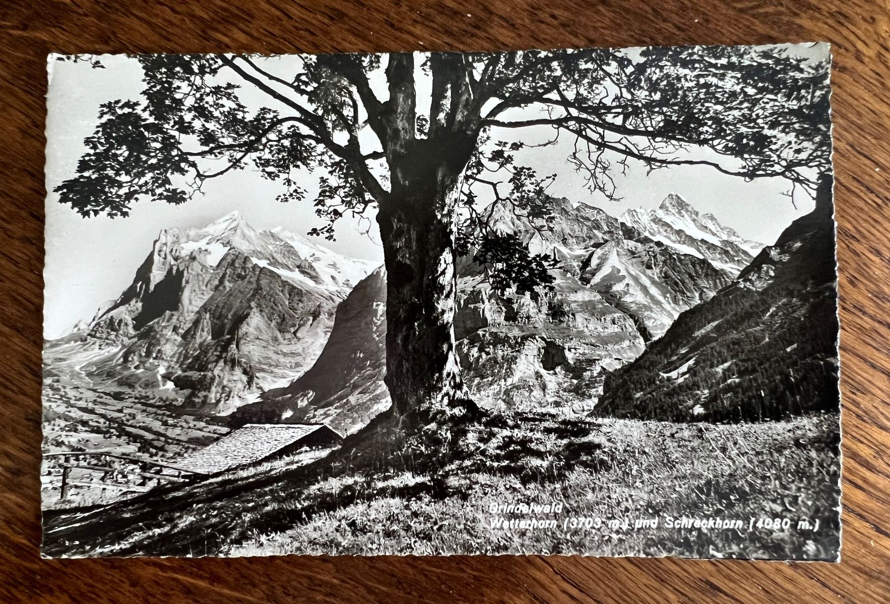 Ansichtskarten: Postkarte Grindelwald – Gebraucht aus Grueningen von ant_qb8l