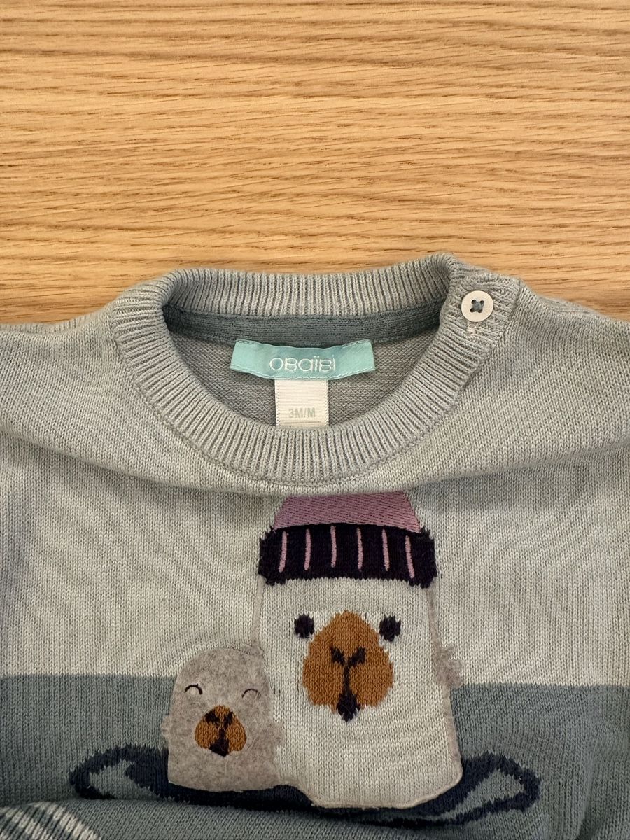 Maglioni & Felpe: Kinder Pullover Obaïbi Grösse 3M mit Robbenmotiv hellblau – Usato da Zürich venduto da emily.sch 2