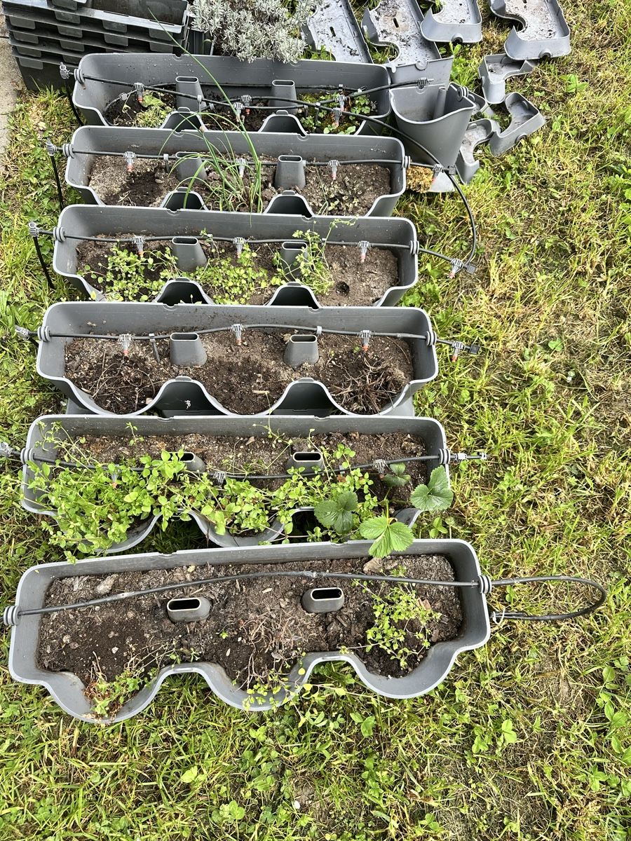 Box contenitori: Vertikaler Garten, Gardena mit Bewässerungssystem! – Usato da Mettendorf TG venduto da Pinova02 5