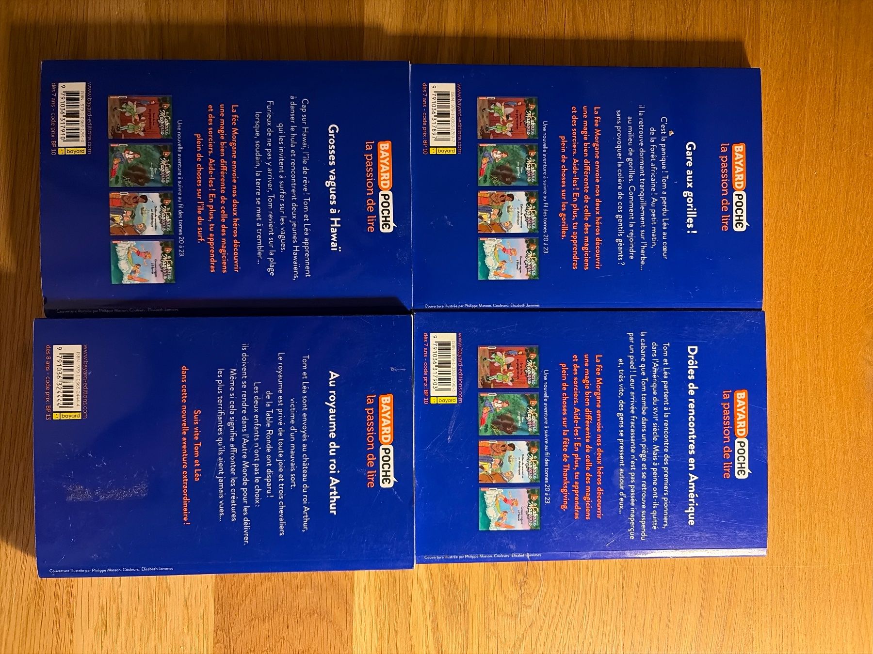 Bücher: Livre cabane magique 21 a 24 – Gebraucht aus Lausanne von aur_cxg5 1