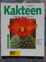 Kakteen - So blühen sie am schönsten