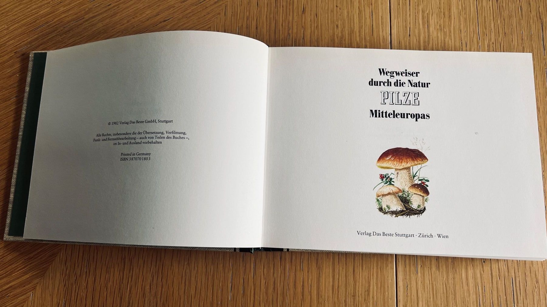 Libri: Pilze Mitteleuropas - Wegweiser Natur,1982 – Usato da Schübelbach venduto da Bemafaja 1