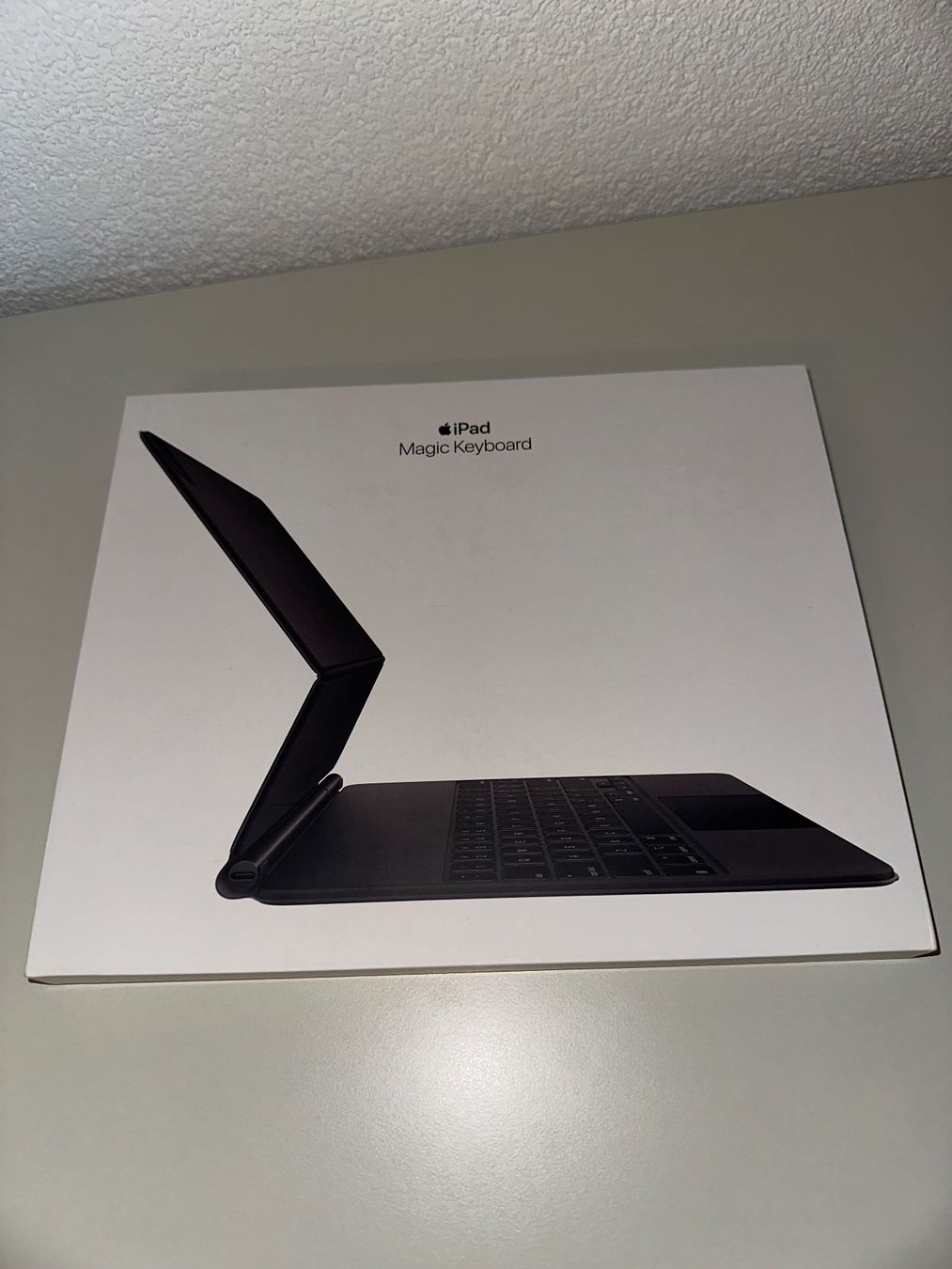 Apple Tastaturen: Apple Magic Keyboard 12.9" – Gebraucht aus Mauren TG von nkreier 2