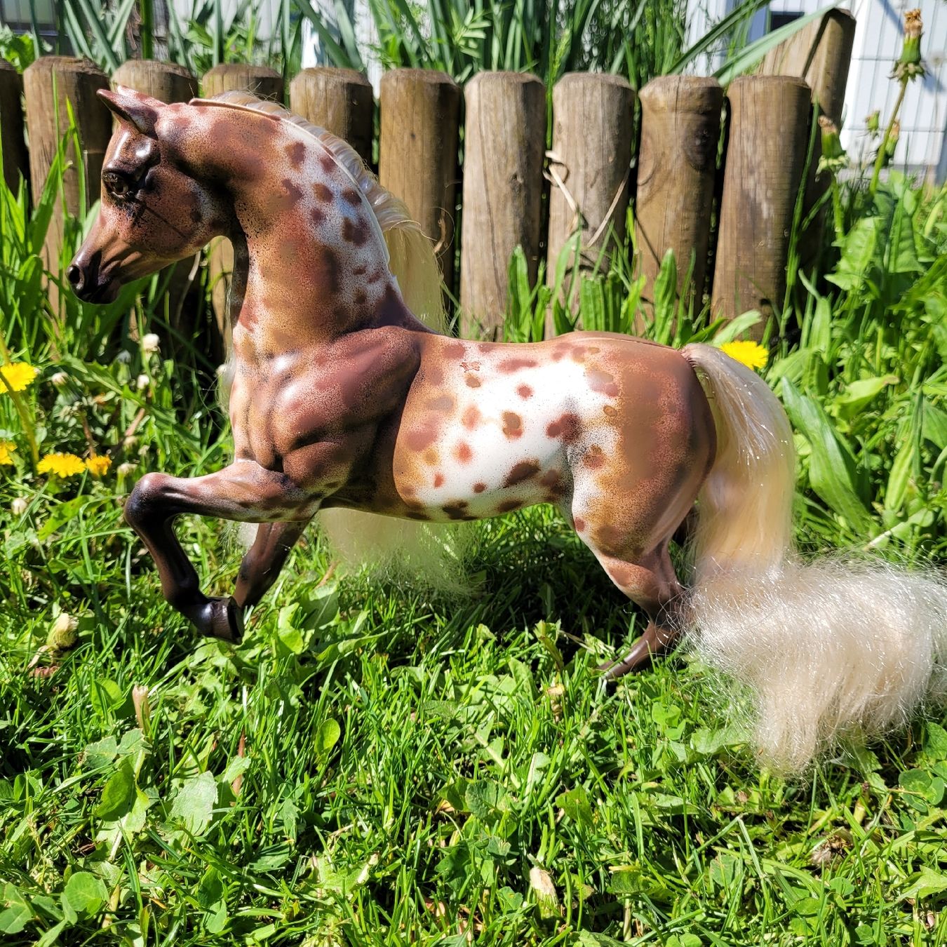 Giocattoli: Barbie Pferd Savanna Repaint/Unikat – Usato da Niederbuchsiten venduto da klengyel 5