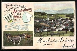 Wald /Zürich, Kantonale landwirtschaftl