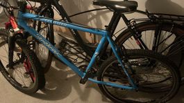 Specialized stumpjumper - old 
