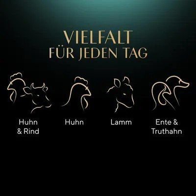 Futter: Sheba Selection (6x Multipack mit 12 Beuteln à 85gr) – Neu und originalverpackt aus Zürich von Dorothea3 2